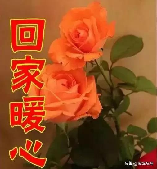 女人节祝福语送给你,最美丽的女人节祝福