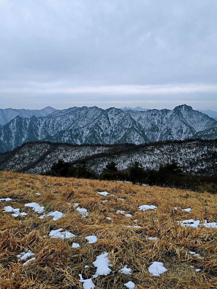 20210215新年第一爬～南塬大草甸