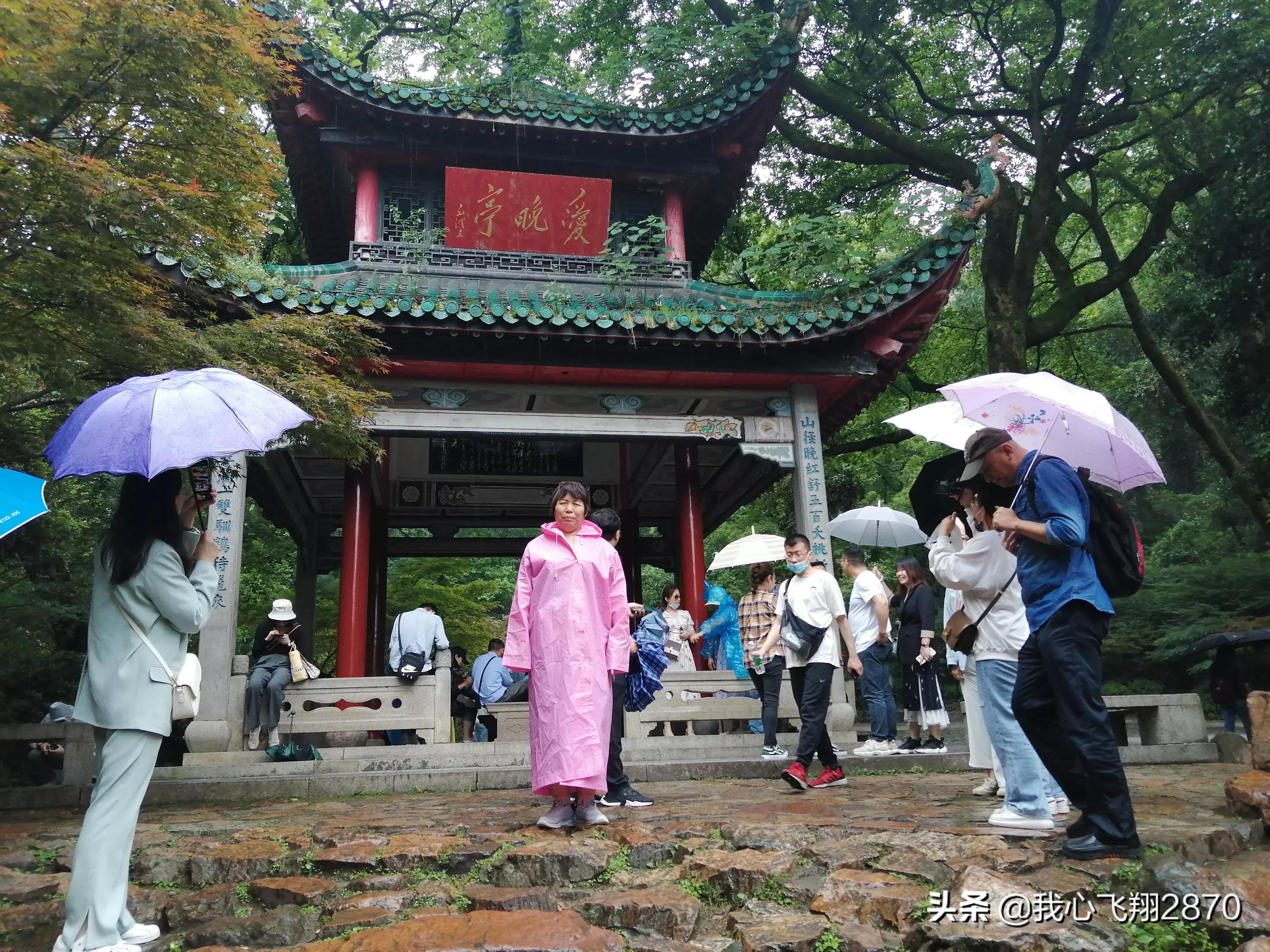 游爱晚亭阅读感想,林伯渠游爱晚亭