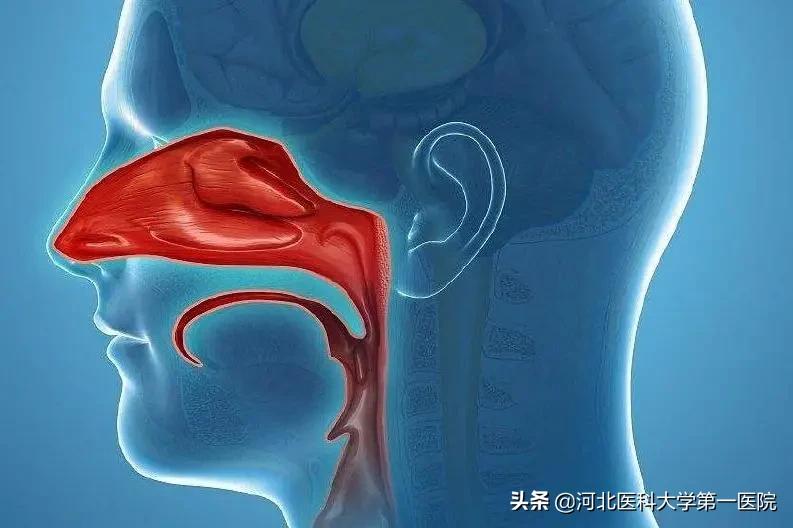 一直挖鼻屎会怎么样,挖鼻屎一天一次频繁吗