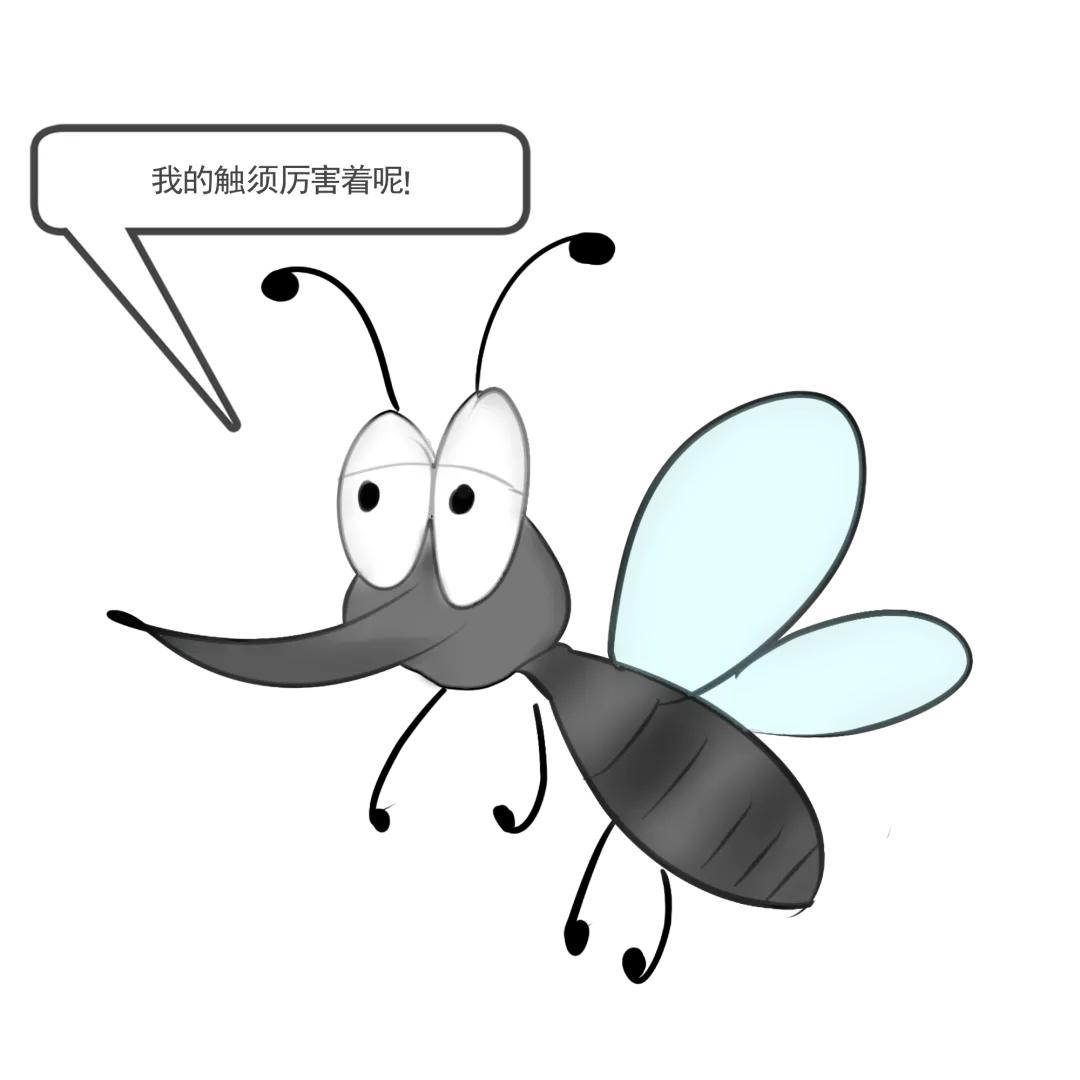 睡觉被咬了个包痒肿,手掌被咬了个包又痒又疼