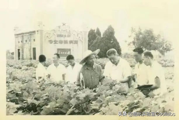 北京三环农田,北京三环麦田房价