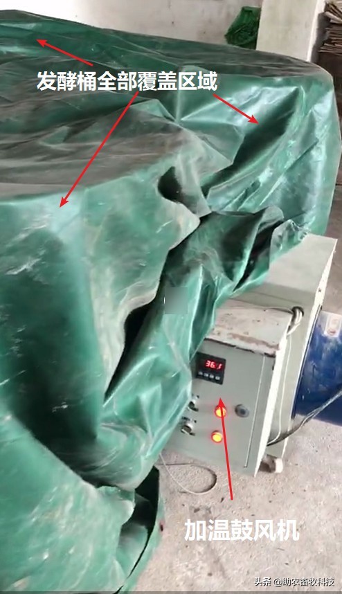 非洲猪瘟采用中草药的配方和运用方法推荐