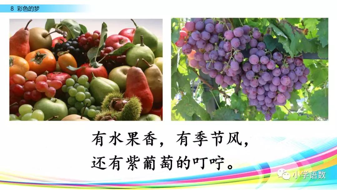 二年级下册语文彩色的梦教学视频,二年级语文下册彩色的梦教材全解