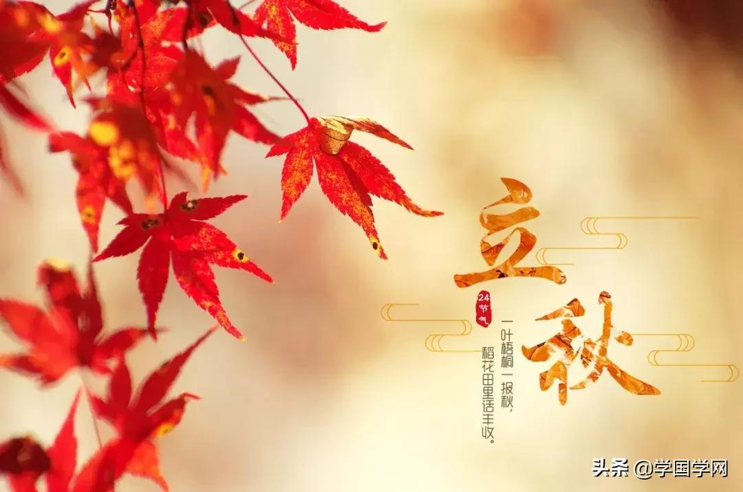 今日立秋古诗视频,今日立秋七绝诗