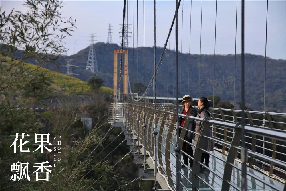 一个农村姑娘的创业经历,一个女农人的创业故事