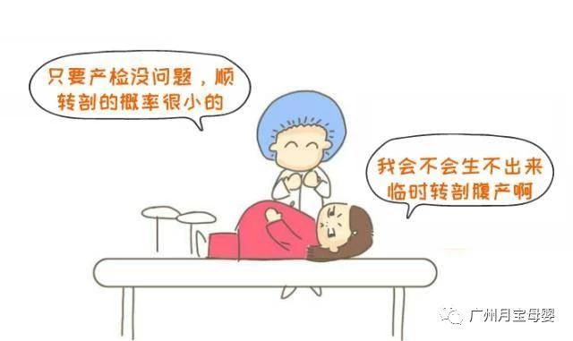 屁股大的女人生育好吗,屁股大的女生好生养