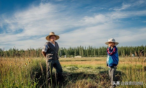 提高粮食价格能留住农民种地吗,粮食价格那么低农民怎么赚钱