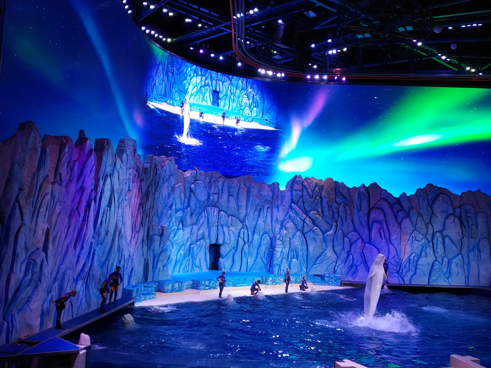 广州珠海长隆自由行旅游攻略,珠海长隆二日自驾游线路攻略最新