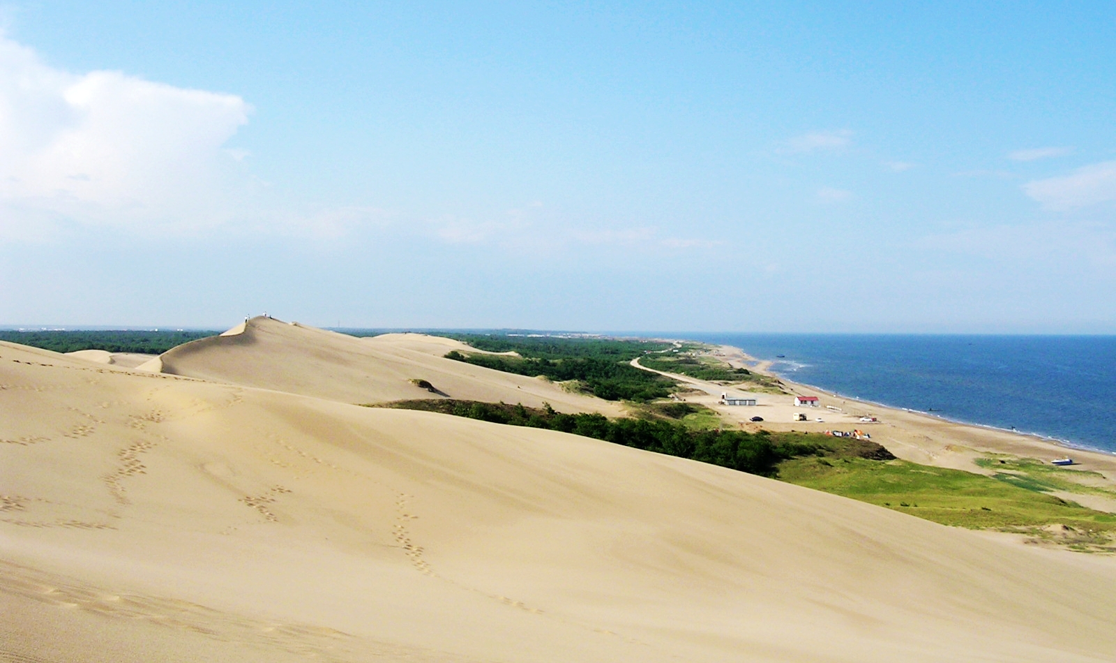 纪念失去后的重生,纪念失去的一切