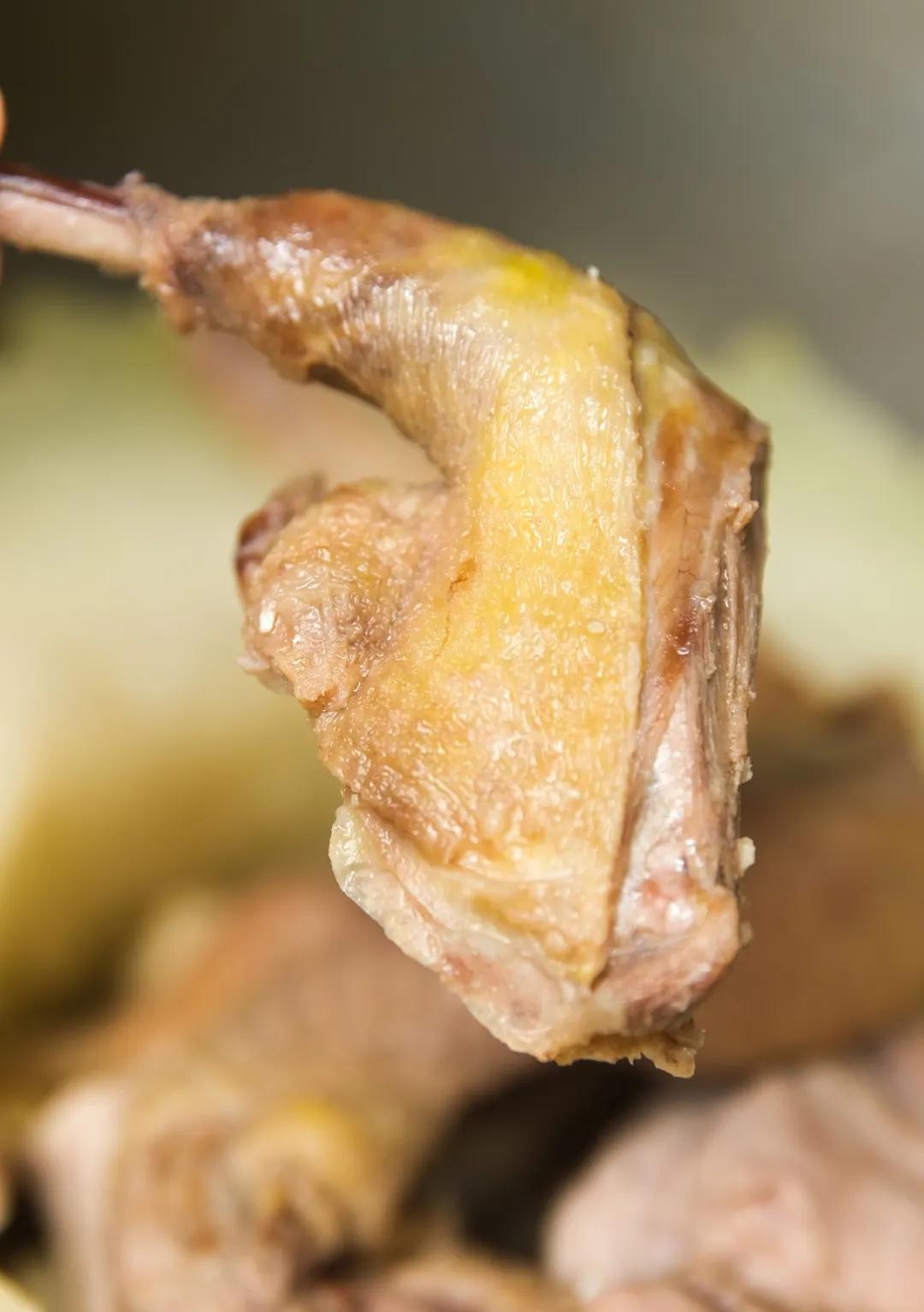 南海盐步老字号美食,南海盐步鸽