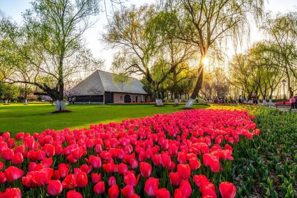 南京小众景点,南京小众花园秘境