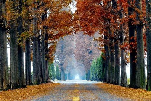 杭州免费的旅游景点攻略,杭州旅游攻略必去免费景点大全