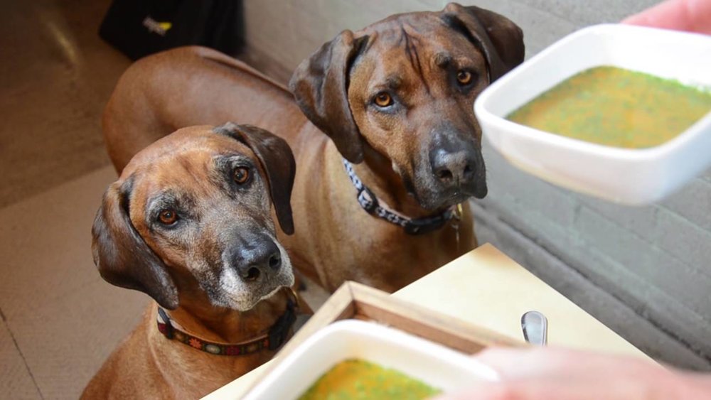 youngdoctor胶原蛋白肽是智商税吗,胶原蛋白是智商税