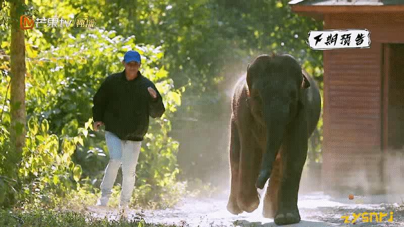 他们被杀之后，依然在爱你