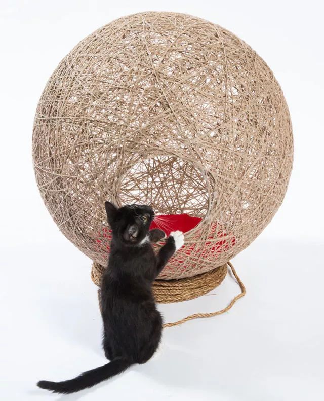 猫最好用什么猫窝,各种猫窝的视频大全
