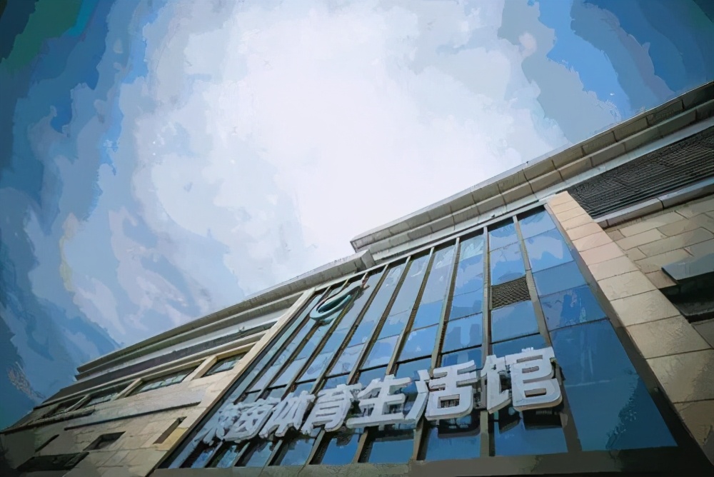 莱茵体育股票近一年涨跌,停牌前断崖式暴跌