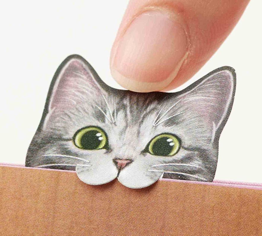 日本人又来骗猫奴们的钱啦!但我心甘情愿掏钱了!