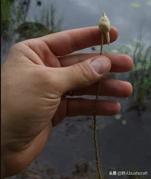 野外diy鱼钩,在野外制作鱼钩