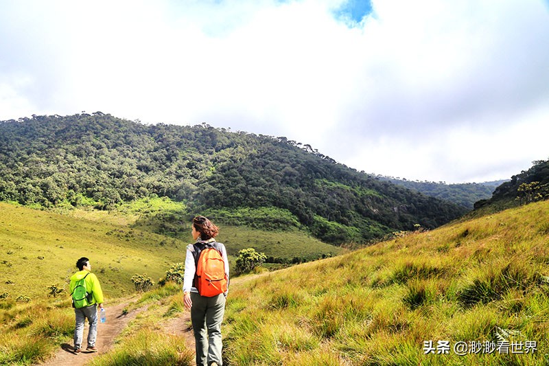 去斯里兰卡旅游攻略,1月去斯里兰卡旅游的最佳攻略