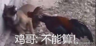 电竞早报：斯德哥尔摩Major冷门频发；巨鸟多多反向运营惹人恼