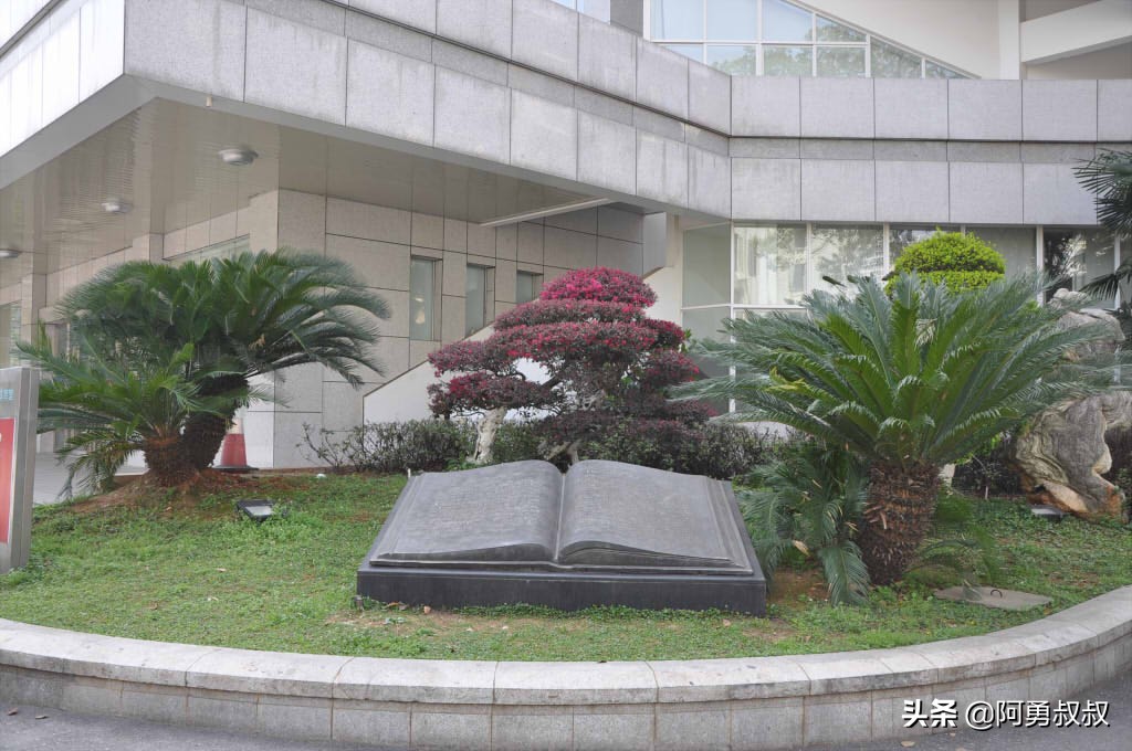 长沙市雅礼中学校联赏析,长沙市四大名校雅礼中学图片
