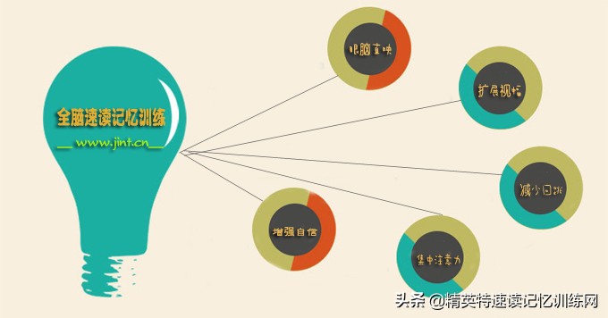 精英特速读记忆有效吗,精英特速读记忆软件有用吗