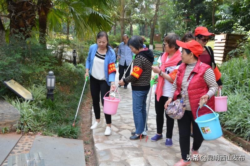 苏群影响力,苏群的影响力