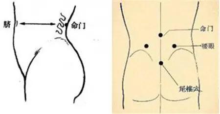 艾灸养生常灸这十大穴位,艾灸可以灸足底生殖穴吗
