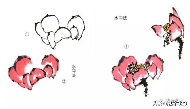 荷花的画法和步骤图解,最简单的荷花画法一学就会