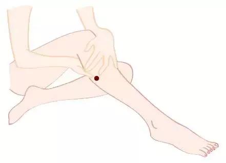 含铁的食物适合经期,维生素c和含铁的食物