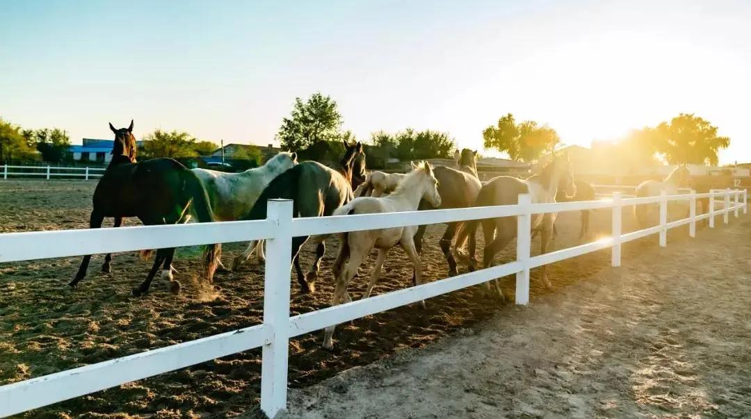 一派和谐的自然风光,一派祥和的自然风光