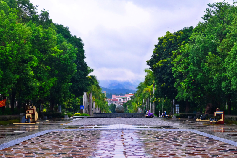 云浮南山森林公园锦鸡,云浮南山森林公园航拍