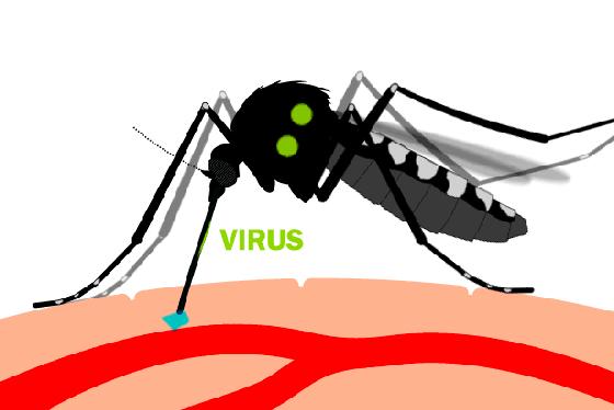 蚊子能传播一大堆疾病，为什么不能传染艾滋病？