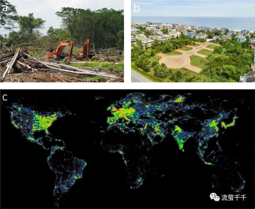 全球预警｜那些发光生命，正无声地在夜空中黯淡下来