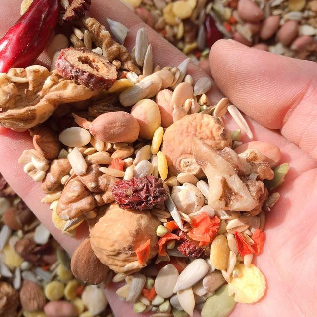 我家虎皮鹦鹉为什么不吃黄大米,我家鹦鹉只吃瓜子