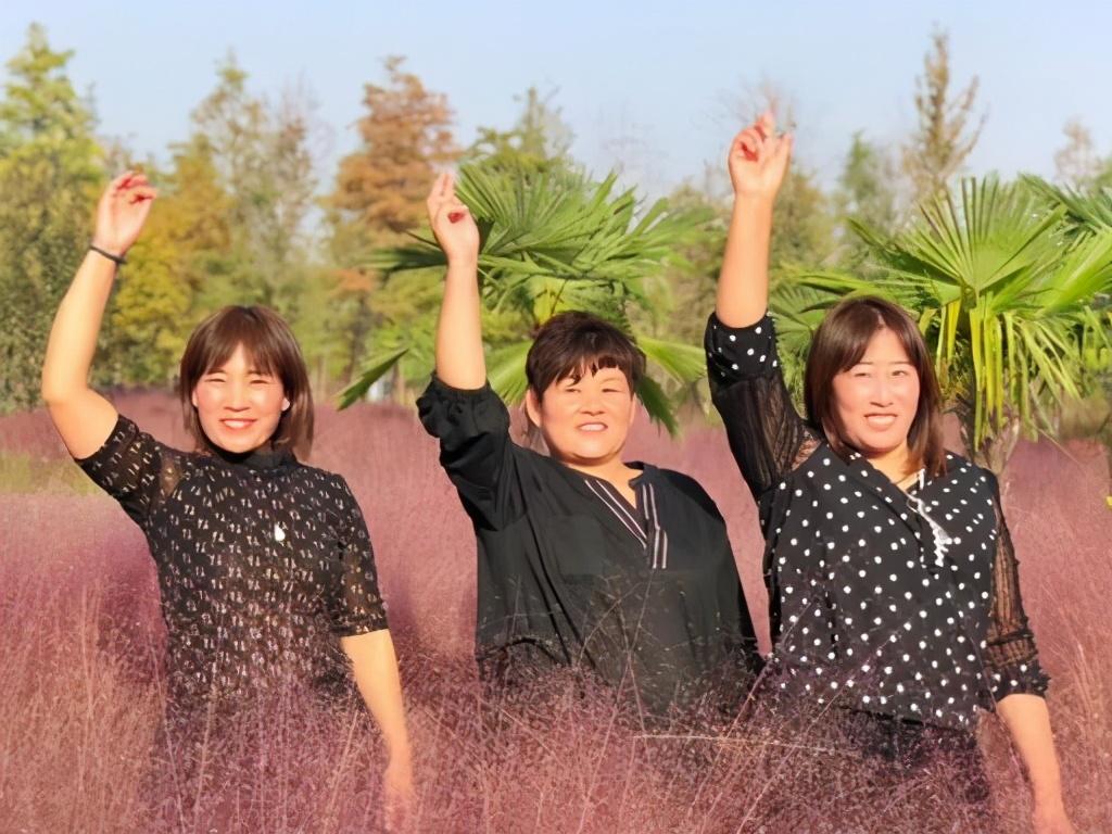 洛阳粉色花海,洛阳近郊惊现绝美花海