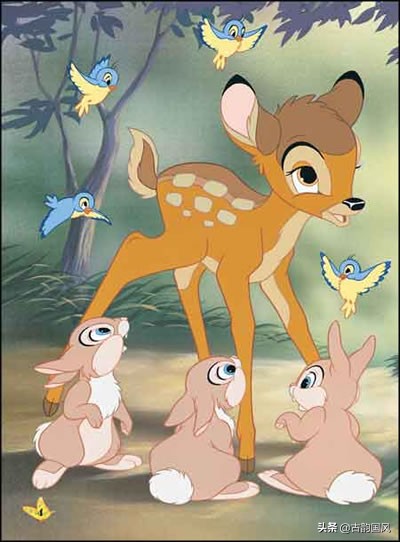 经典动物儿歌,动物儿歌100首幼儿园