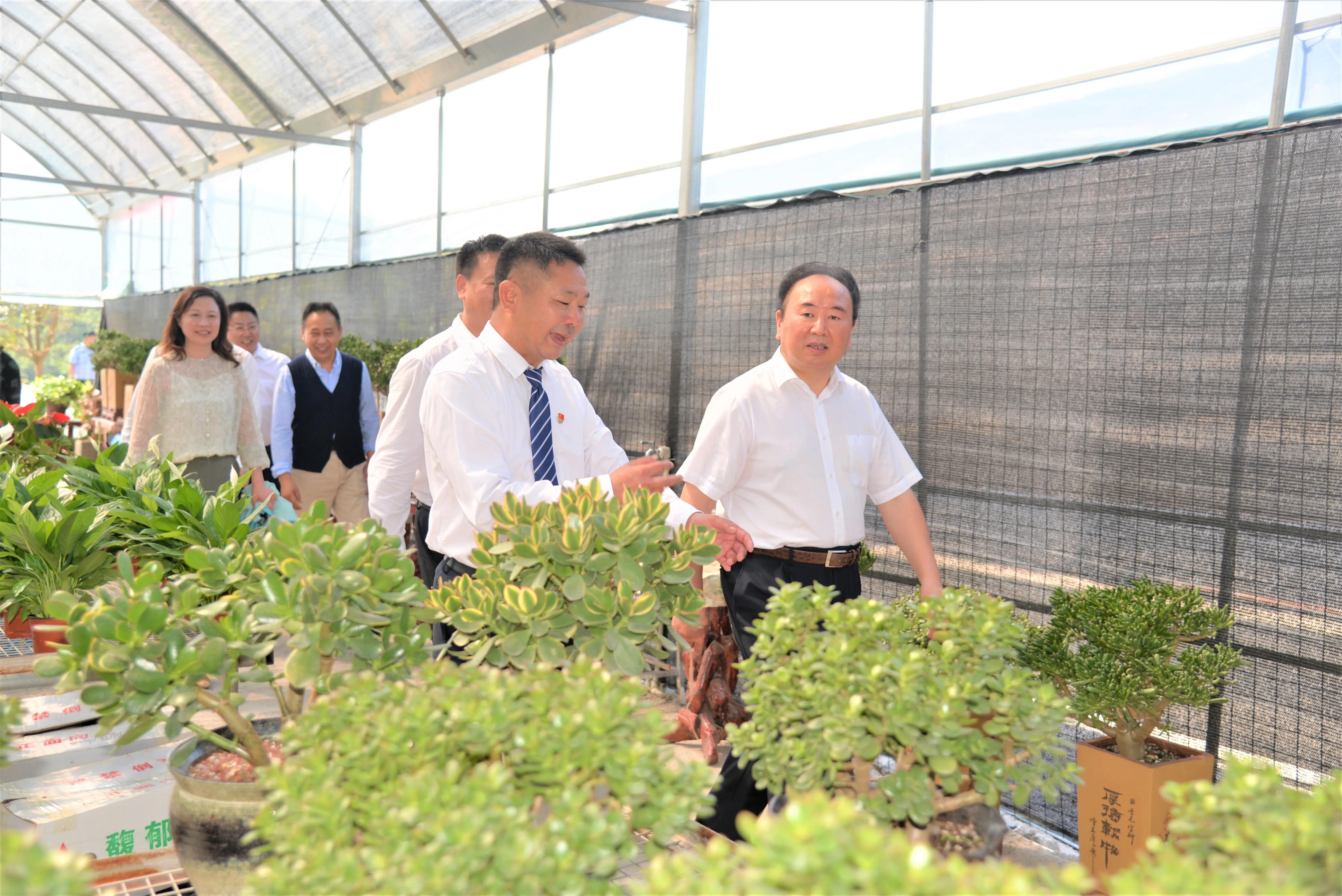 热烈庆祝宜昌花木城开园,宜昌花木城已开园