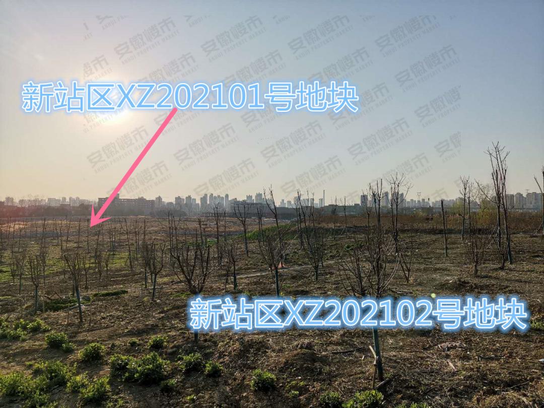 合肥44宗土地将入市,合肥2024年经开区入市的地块