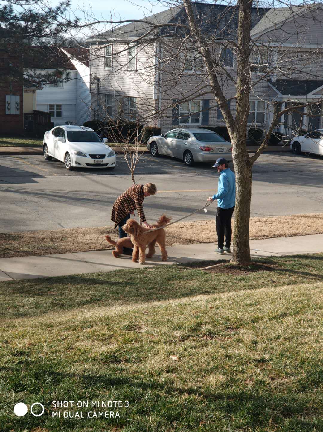 拉斯维加斯见闻,圣路易斯夜晚