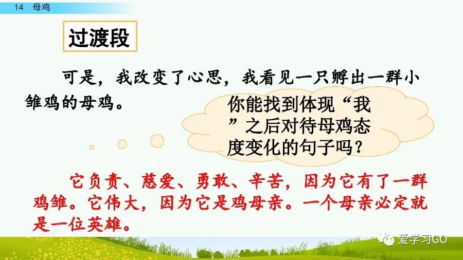 部编版四年级下册15课白鹅解析,部编版四下语文第13课母鸡预习