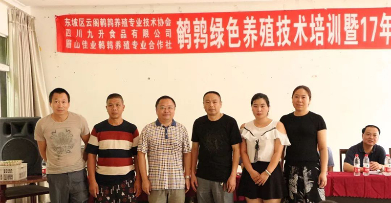 山东小伙靠养鹌鹑致富,农村大哥返乡创业养500只鸡