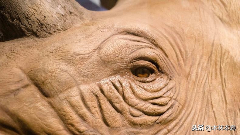 加拿大多伦多生活日记,加拿大多伦多留学生活纪实