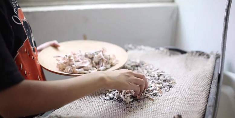 为去世的宠物进行殡葬仪式，是否真的有意义？宠物也需要尊严