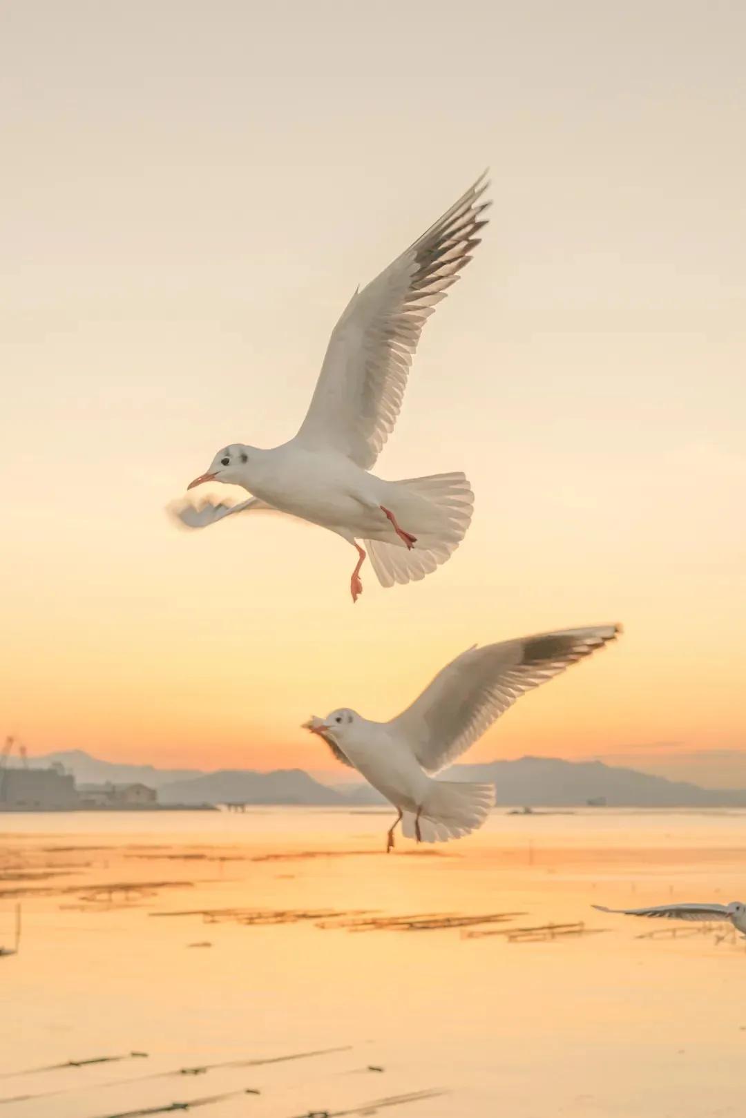 腾龙70-180镜头怎么选,富士xt200镜头该怎么选