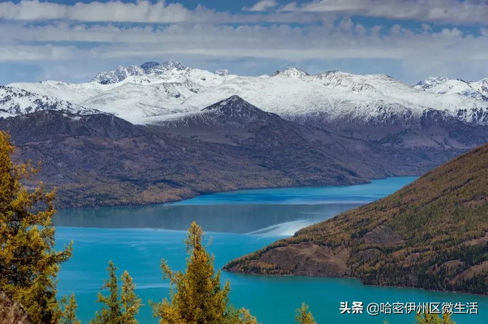 来听听*疆新**人怎么介绍*疆新**吧