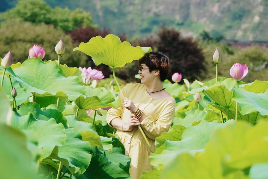 苏州赏荷花地方,美翻南湖景区