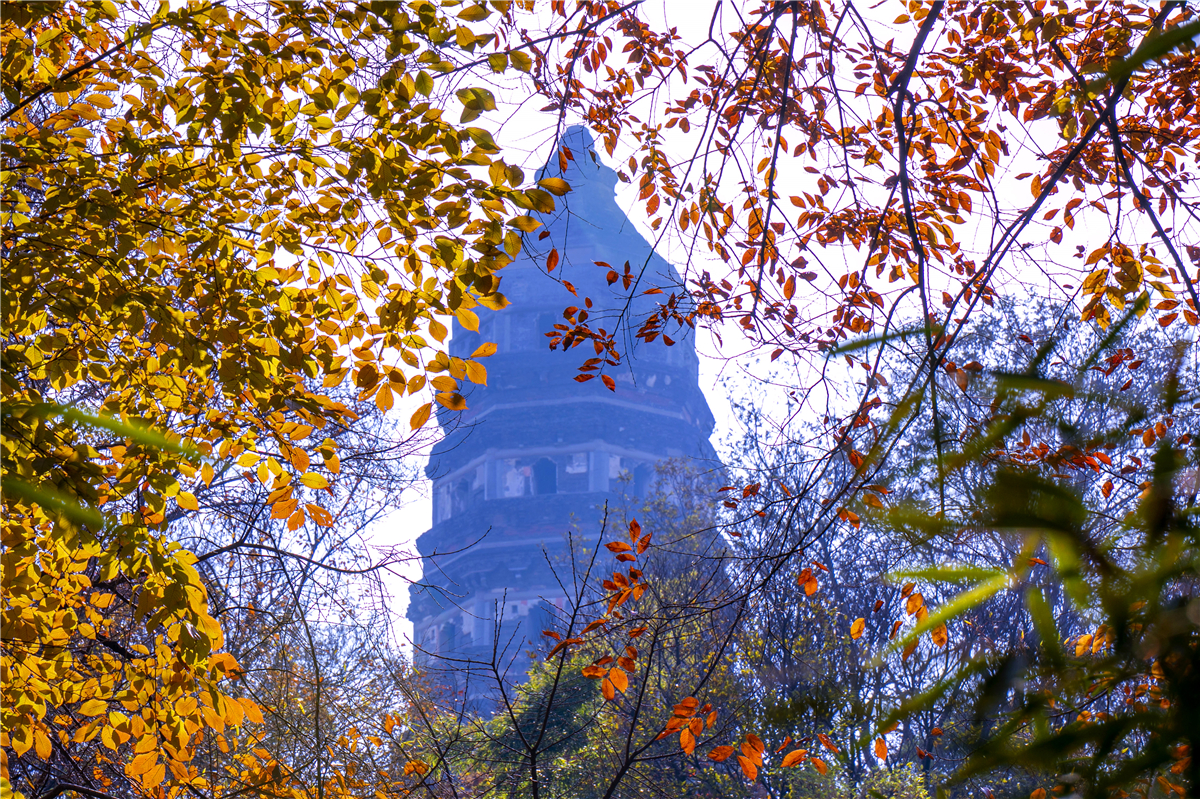 苏州秋天有什么好玩的,苏州秋天去哪里玩