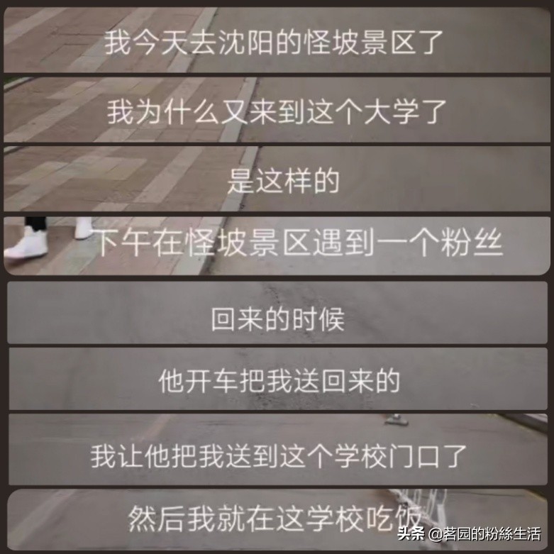 沈阳怪坡虎园,沈阳怪坡